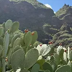 Der Ewigen Sonne * Playa Del Cura (Gran Canaria)