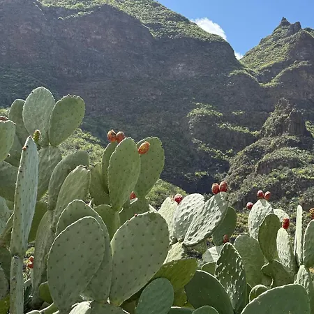 Der Ewigen Sonne * Playa Del Cura (Gran Canaria)